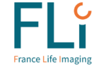 Le FLI, France Life Imaging, contribue au projet IMMENSE.